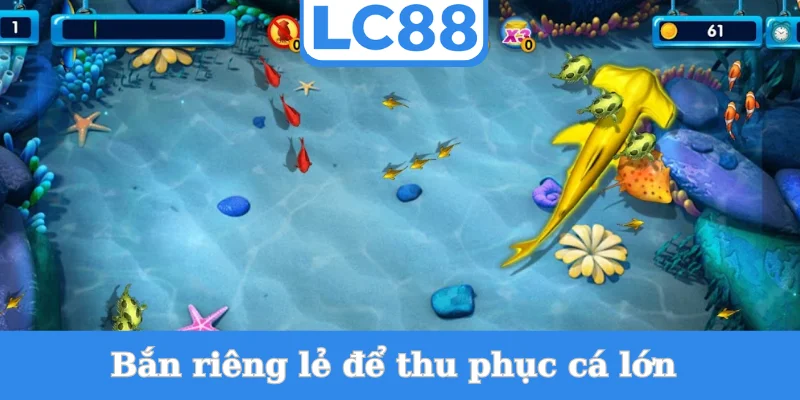 ban-rieng-le-de-thu-phuc-ca-lon