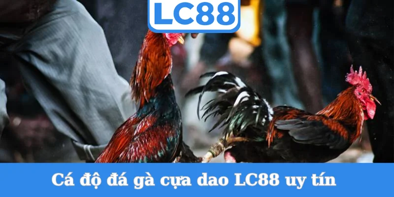 ca-do-da-ga-cua-dao-lc88-uy-tin