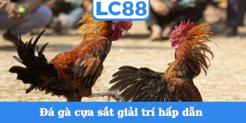 da-ga-cua-sat-giai-tri-hap-dan