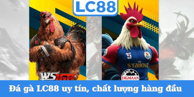 da-ga-lc88-uy-tin-chat-luong-hang-dau