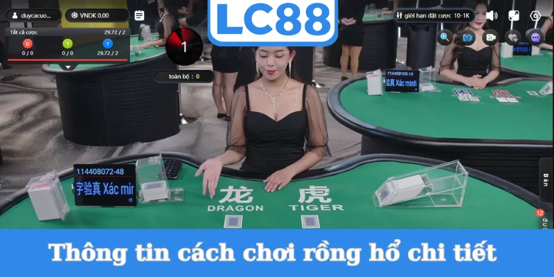 thong-tin-cach-choi-rong-ho-chi-tiet